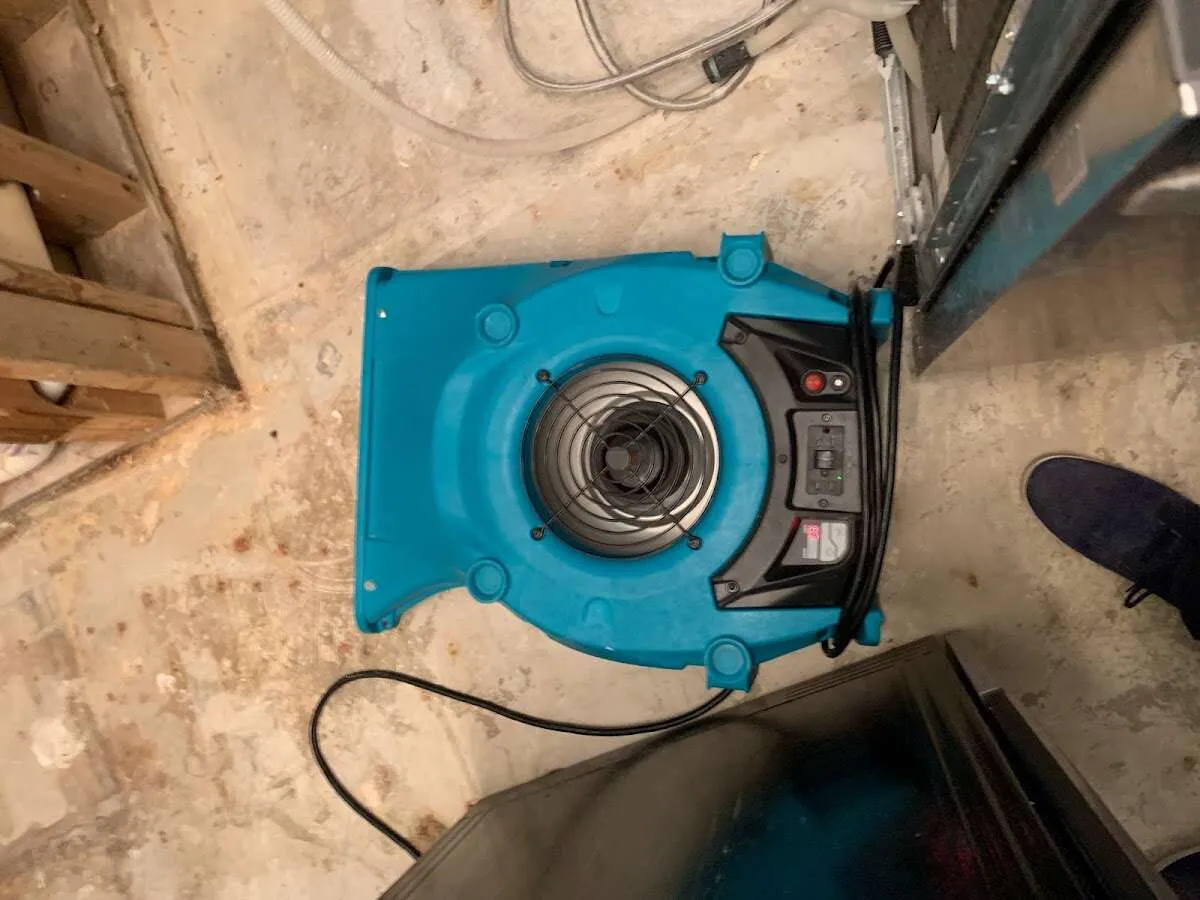 Air mover drying equipment for Mold Remediation & Removal in Surfside